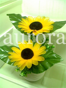 sunflower arrangement