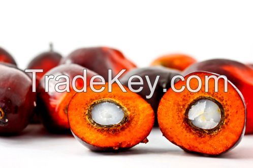 Palm Olein CP8/CP10/RBD Palm Olein/Palm Oil/ Palm Stearin