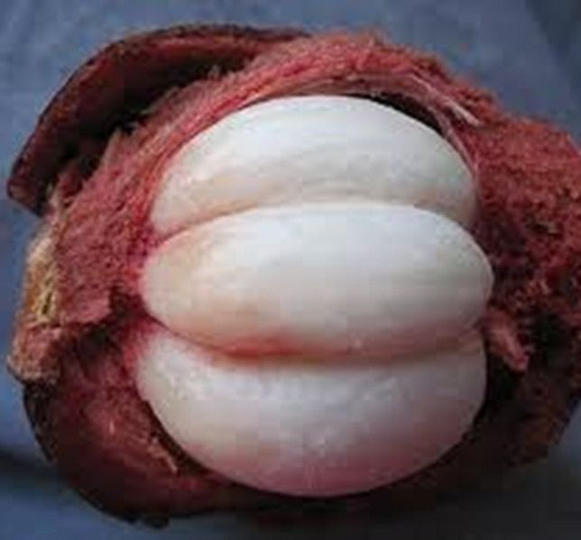 Mangosteen peel Extract 