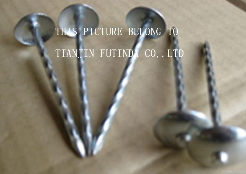 galvanised roofing nails