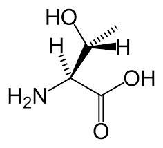 L-Threonine