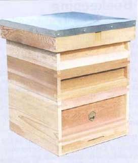 Modified National Hive, beehive, bee hive, remove bee hive