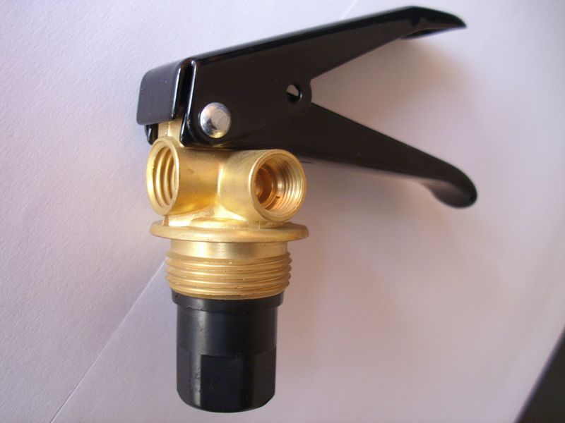 1kg yellow brass  Dry Powder Fire Extinguisher Valve