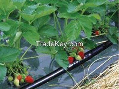 Column drip irrigation pipe