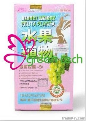 Reduce Weight Fruta Planta Slimming Capsules, Wholesale Price