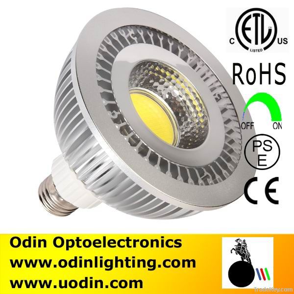 ETL LED PAR38 Spotlight COB 15W 120V