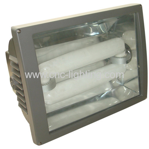 Induction Floodlight Luminaire