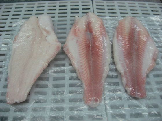 Untrimmed Pangasius