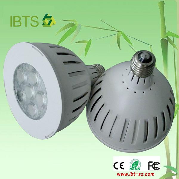 led buble PAR38