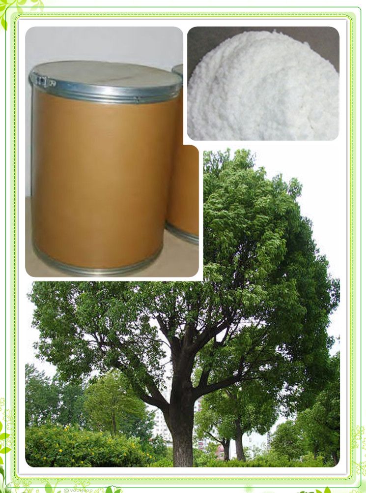 Farwell Synthetic Camphor Powder DAB6/DAB8/DAB10/BP/JP/USP and Natural Camphor Powder BP Grade