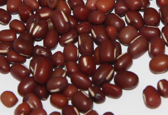 red kidney beans