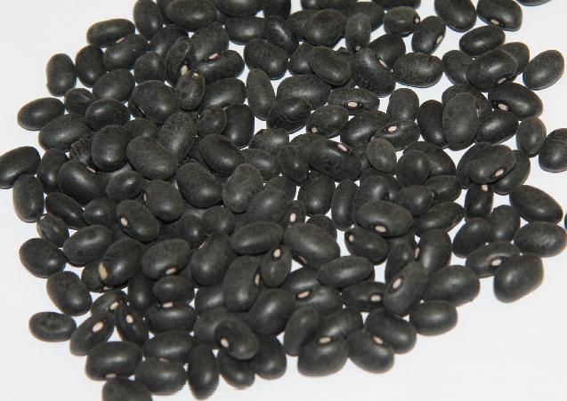 Black kidney beans