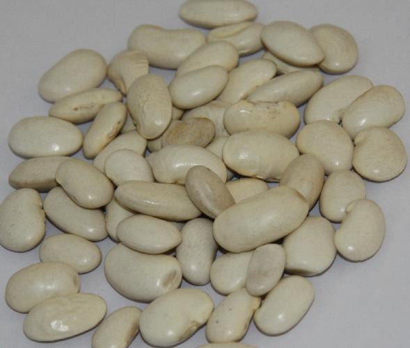 large white kidney beans