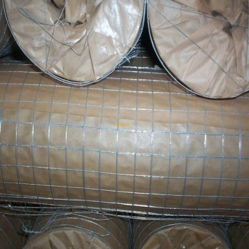 Welded Wire Mesh