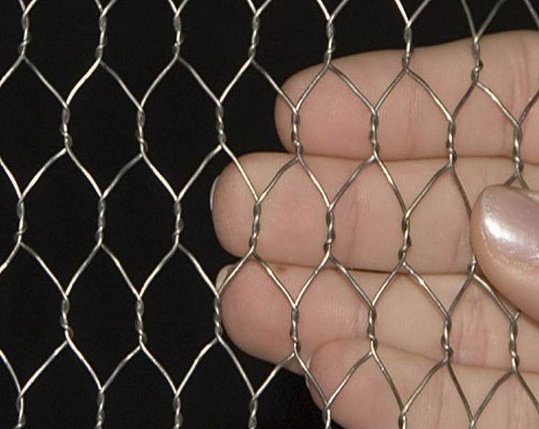 Hexagonal Wire Netting