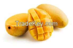 Chaunsa Mango No. 1 Quality