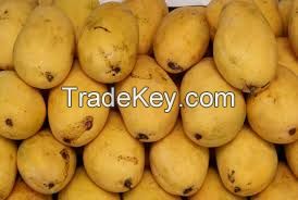 Chaunsa Mango No. 1 Quality