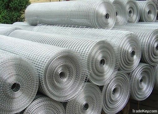 Welded wire mesh