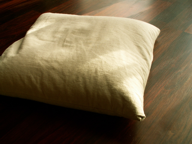 Buckwheat Hull Pillow