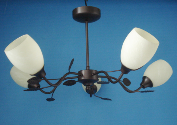 5 light ceiling lamp