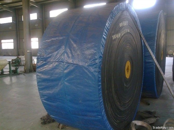 Polyester conveyor belt