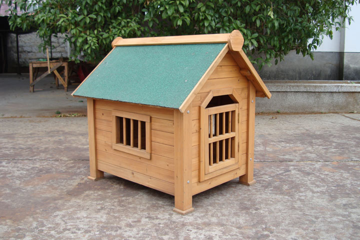 dog house