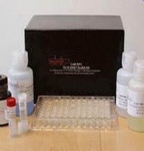 Human Vitamin C ELISA Kit