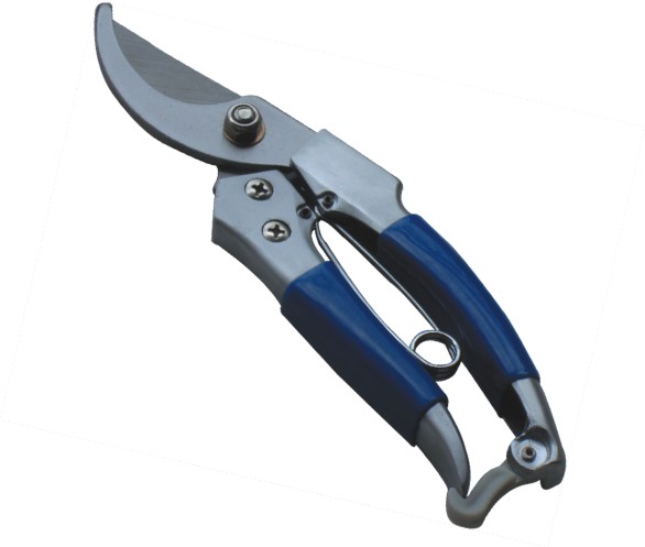 pruning shears