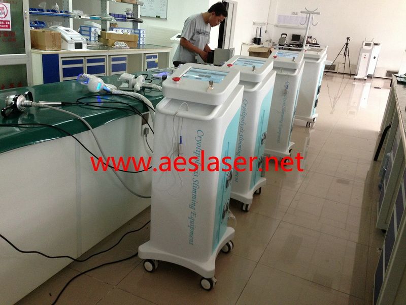 Cryolipolysis system for lose fat