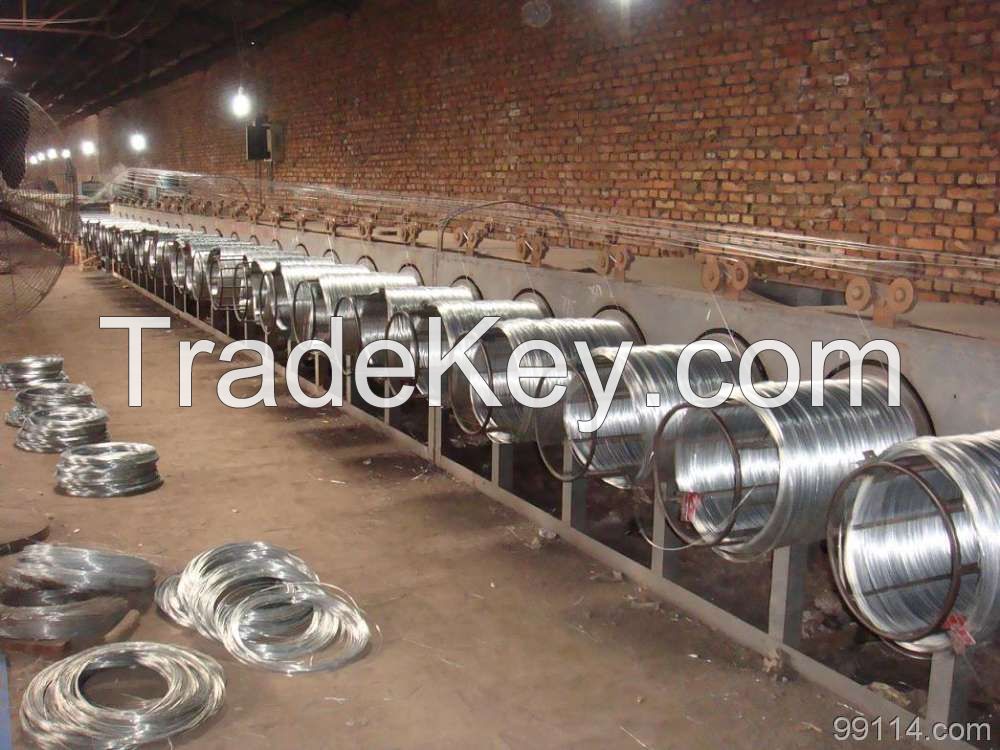 galvanized iron wire / electro galvanized iron wire