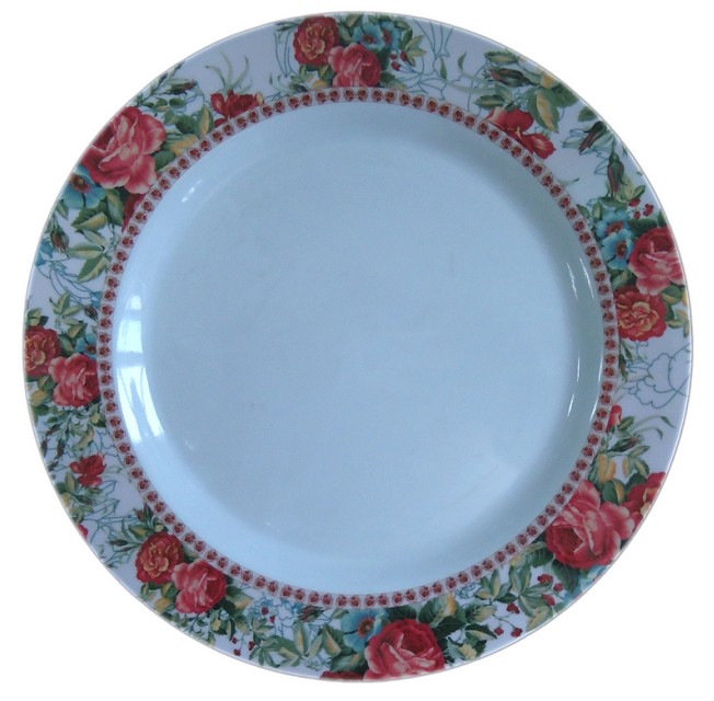 Melamine Dinner Plate