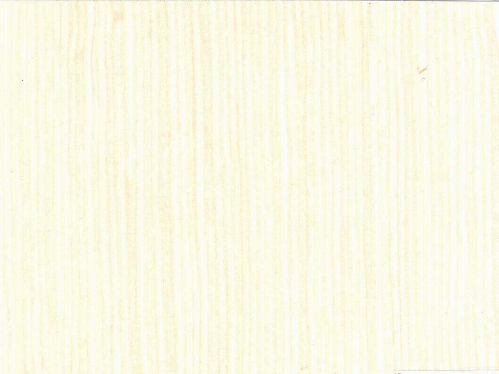 White Maple veneer