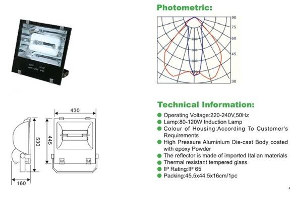 120w electrodeless  floodlight