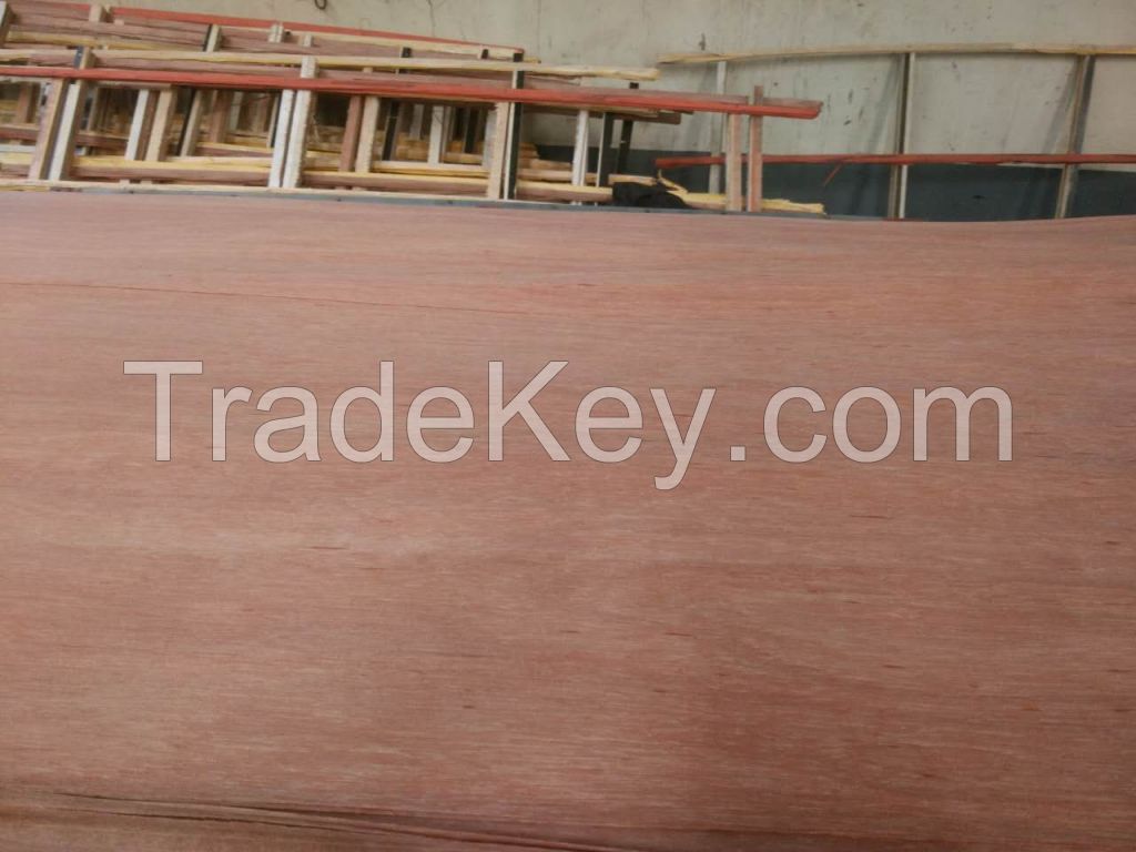 cheap premium sapele, plb and keruing veneer