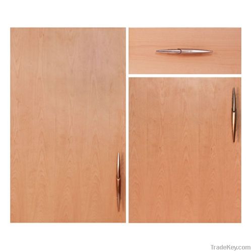 High Gloss  Kitchen Cabinet door