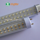 T8 LEd Tube