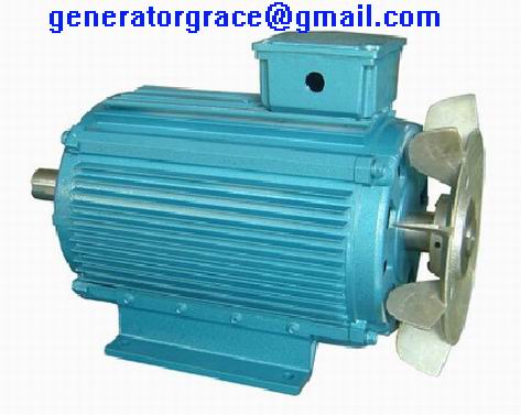 Permanent Magnet Generator(15kw)