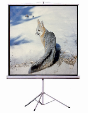 Tripod screen