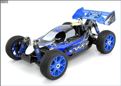 RC hobby model car