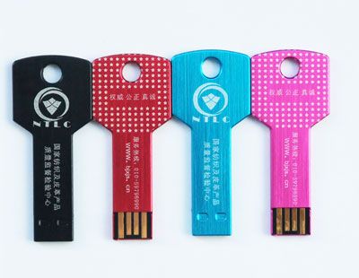 custom logo pen drive flash disk