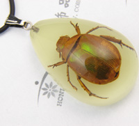 tortoise amber pendant