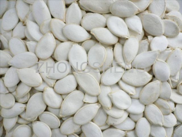 Pumpkin seed