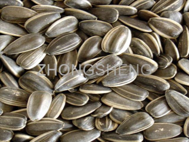 Hulled Sunflower Seed