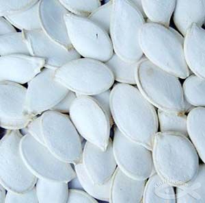 Snow white pumpkin seeds