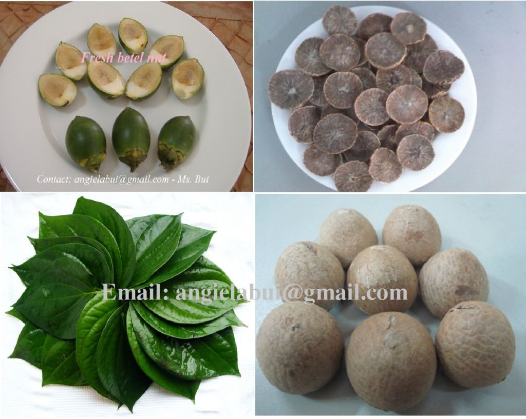 BETEL NUT, ARECA NUT