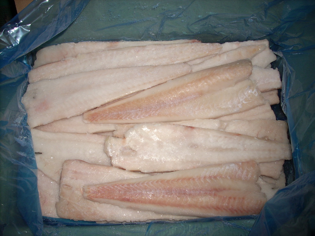 Frozen Pollock Fillets