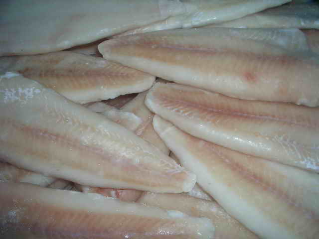 IQF Pollock Fillet