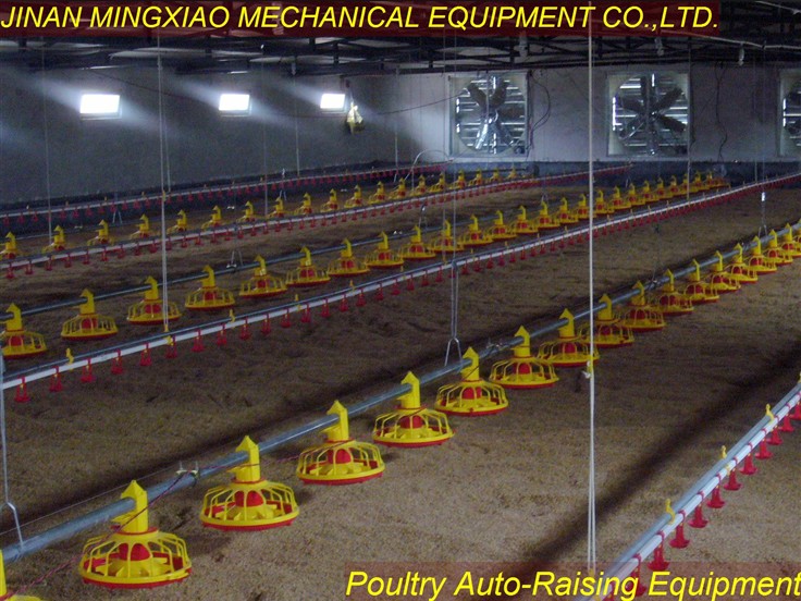 Poultry Auto-Raising Equipment