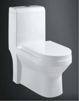 One Piece Toilet (A-5014)