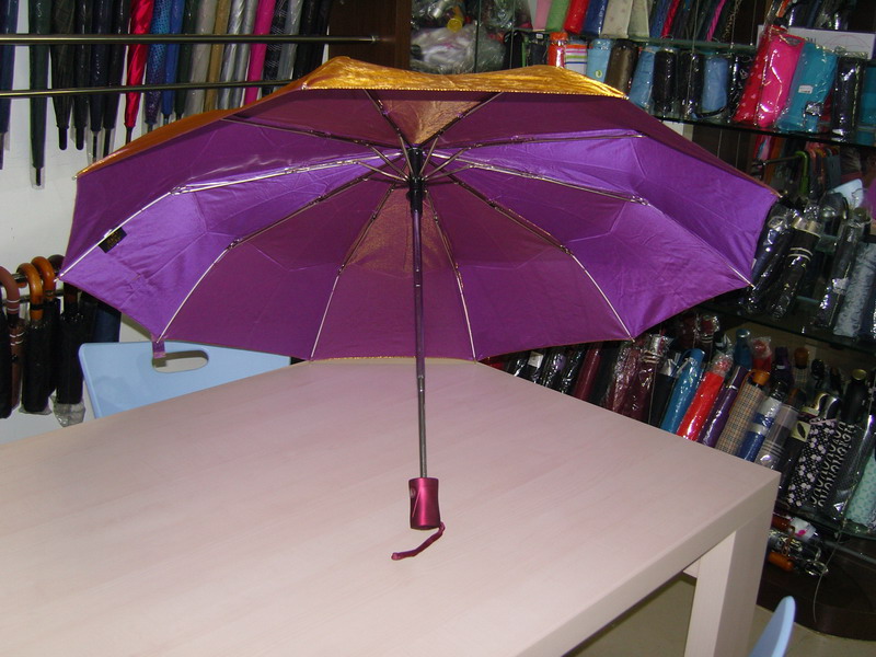 chameleon umbrella